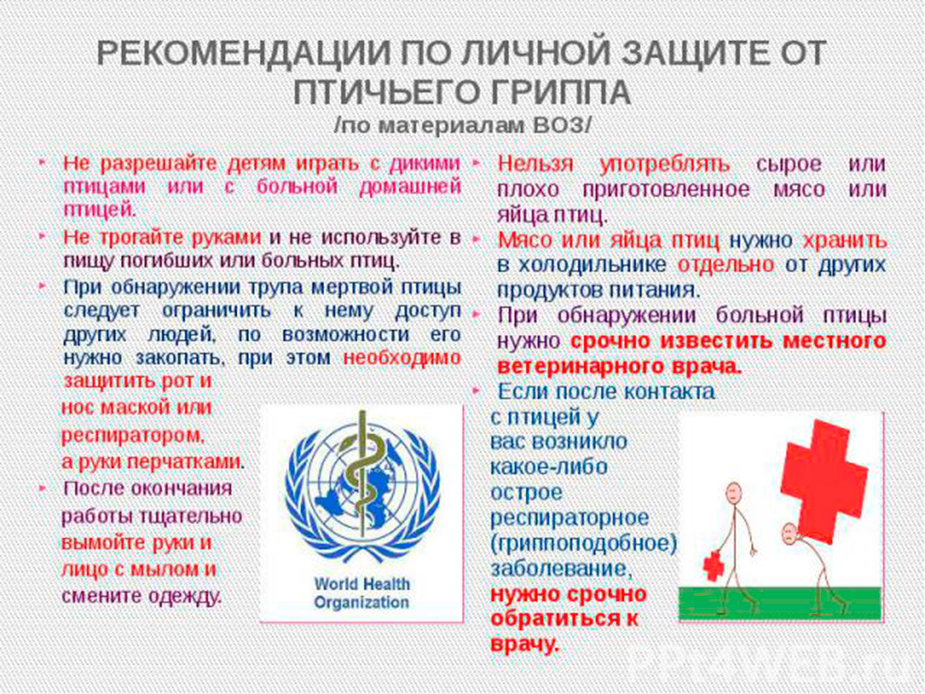 защита от птичьего гриппа.jpg