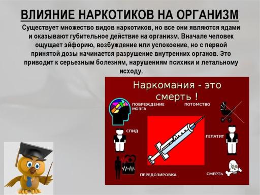 Slide 13