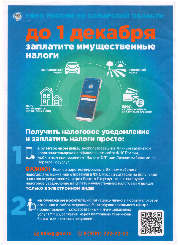 СРОК УПЛАТЫ НАЛОГОВ ДО 1 ДЕКАБРЯ