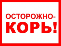Памятка по профилактике и лечению кори