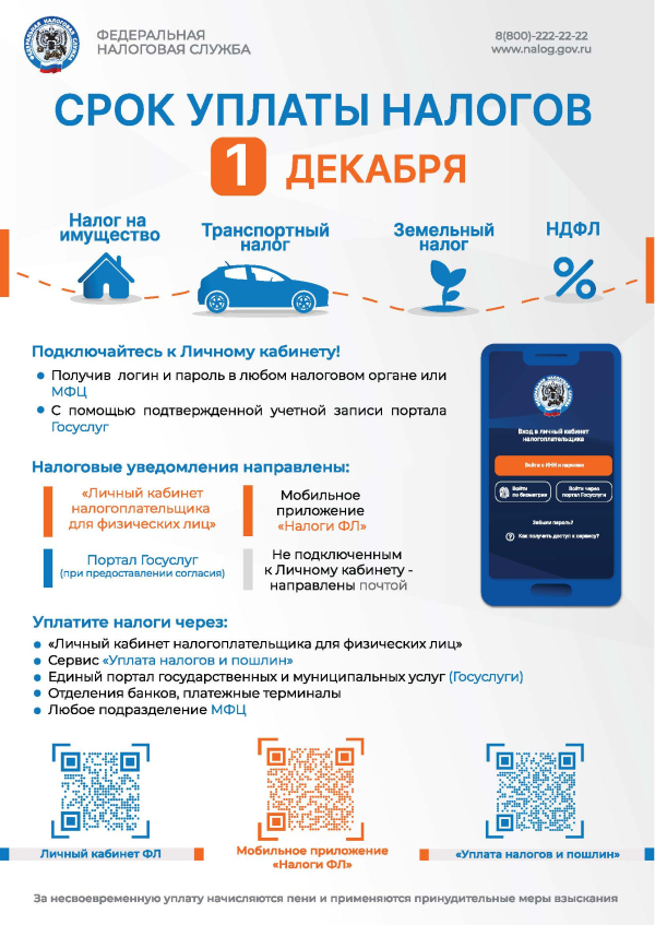 СРОК УПЛАТЫ НАЛОГОВ - 1 ДЕКАБРЯ.