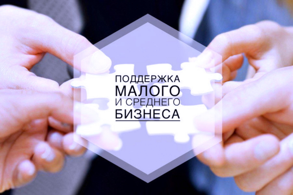 Бизнес Самарской области поддержали на 53,4 млрд рублей