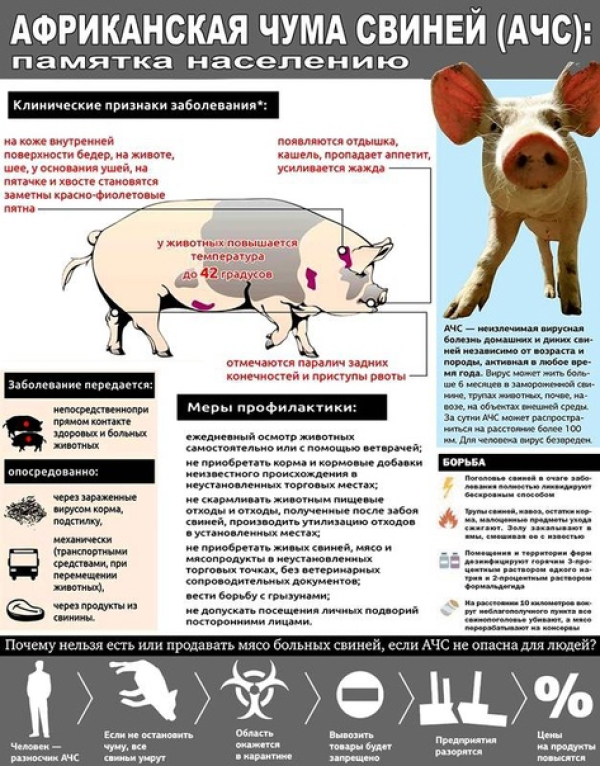 ИНФОРМАЦИЯ