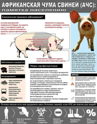 ИНФОРМАЦИЯ