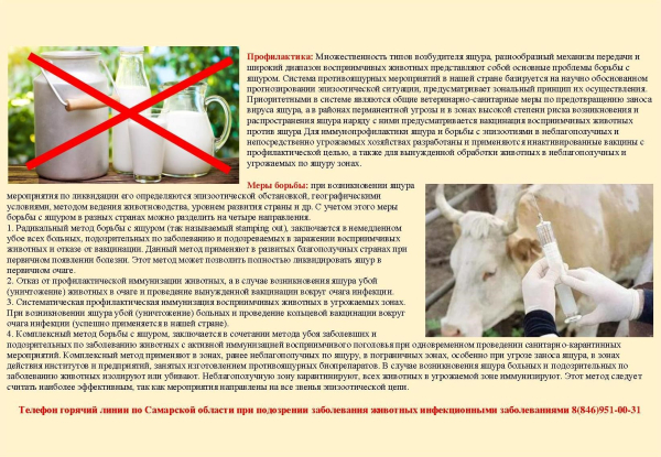 ГБУ Самарской области "Самарское ветеринарное объединение" ИНФОРМИРУЕТ:
