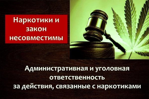 Информация о видах ответственности за совершение преступлений и правонарушений в сфере незаконного оборота наркотических средств.