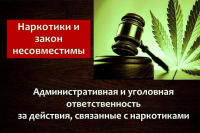 Информация о видах ответственности за совершение преступлений и правонарушений в сфере незаконного оборота наркотических средств.
