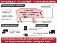Африканская чума. Памятка населению.