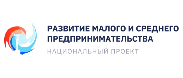 Начинающим предпринимателям Самарской области расскажут, как получить финансирование на развитие бизнеса