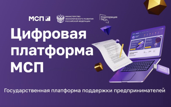 В Самарской области динамично растет число пользователей Цифровой платформы МСП.РФ