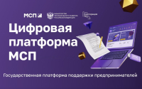 В Самарской области динамично растет число пользователей Цифровой платформы МСП.РФ